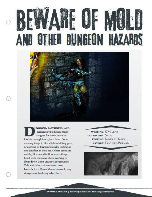 EN Publishing Beware of Mold Dungeon Hazards rollspel pdf mögel