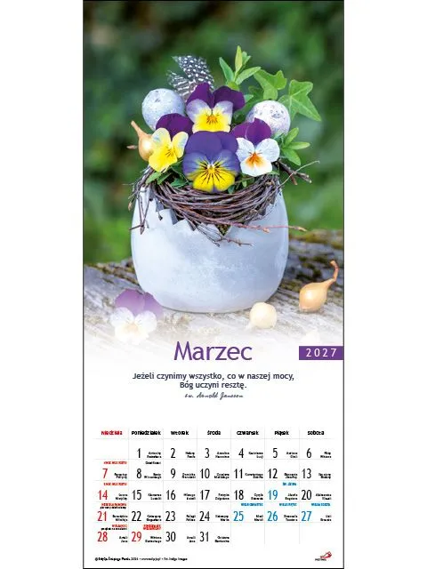 Sharon I blomsterlandet väggkalender 2027 blommor