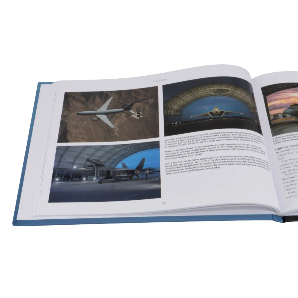 Key Books F-22 Raptor bok illustrerad