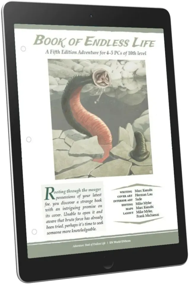 EN Publishing Book of Endless Life äventyr pdf nivå 10