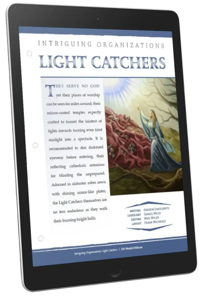 EN Publishing Light Catchers organisation PDF ljus