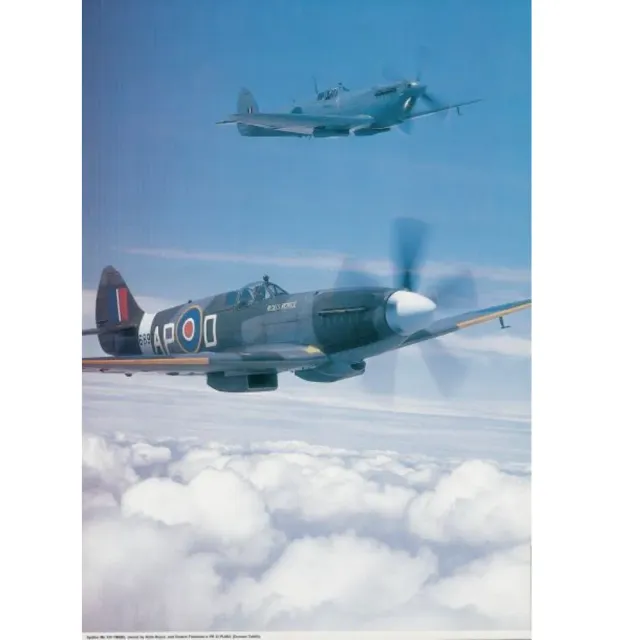 Spitfire Mk XIV poster A2 affisch flygplan