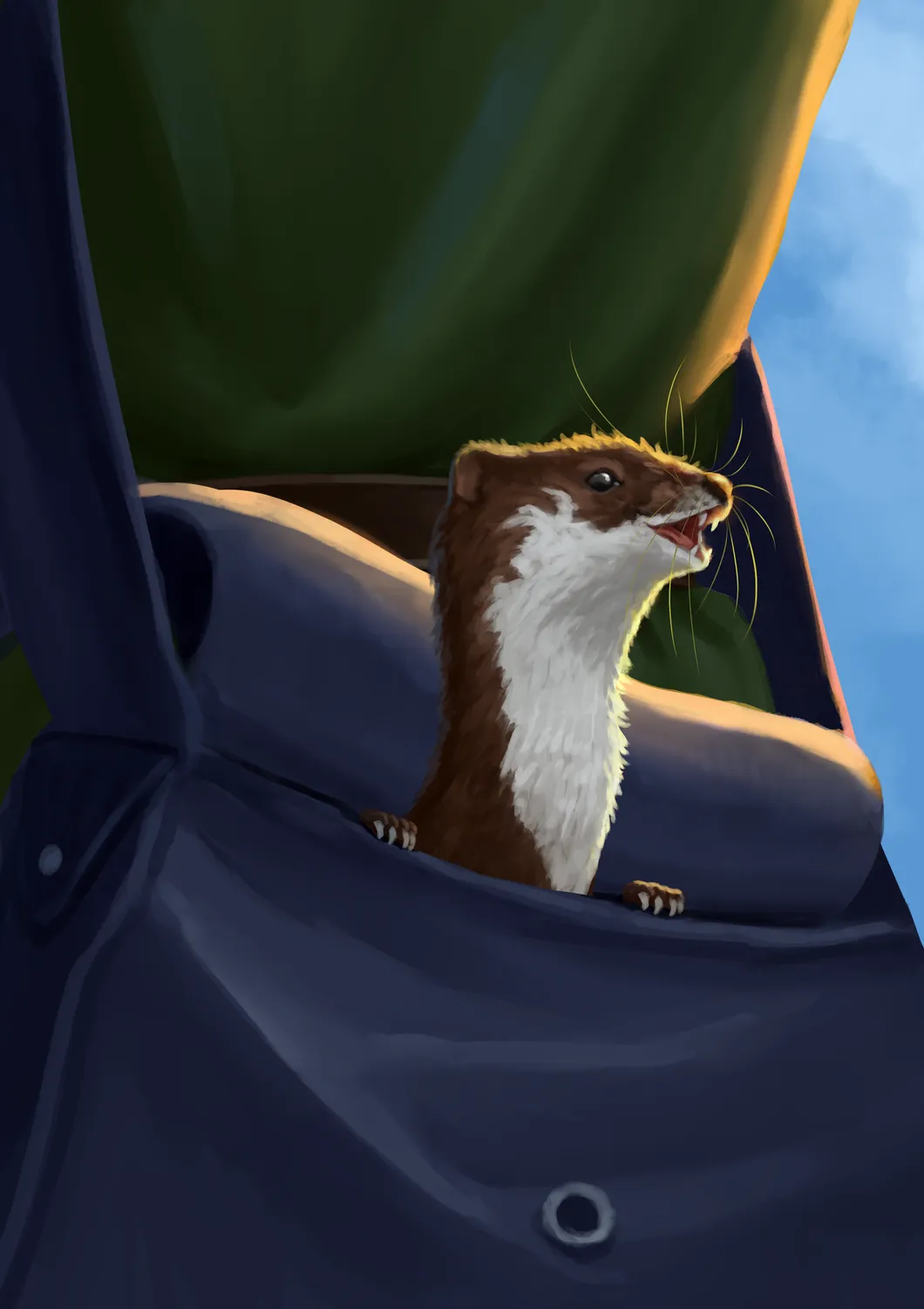 EN Publishing Pets & Sidekicks bok inbunden djur följeslagare